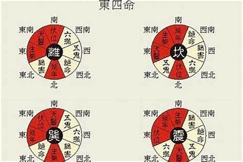 西四命住东四宅|西四命住东四宅、东四命住西四宅怎么办？